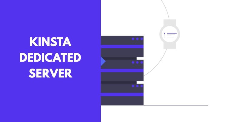 Kinsta Dedicated Server – What is it and Why Do You Need One?