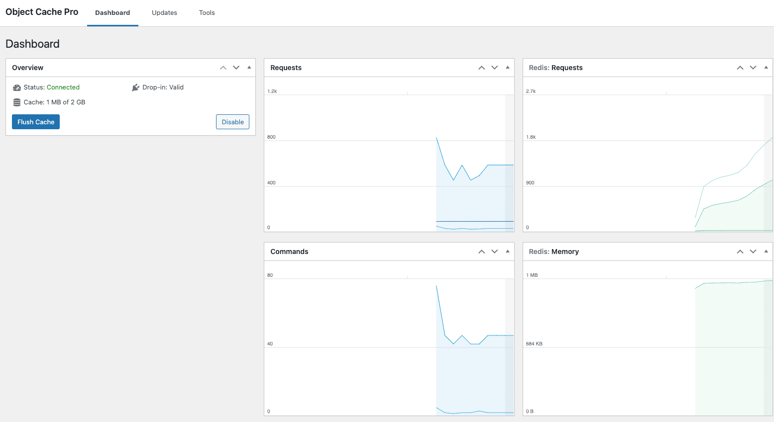 WordPress dashboard image showing Object Cache Pro data