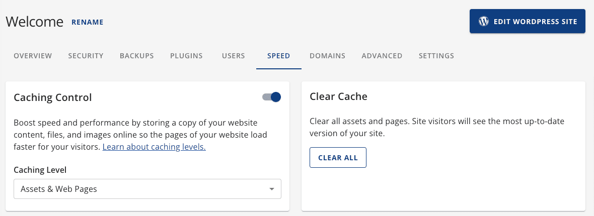 How to Fix Bluehost Slow WordPress Websites? - Hostingstep